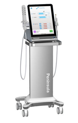 jakość  Peninsula Factory Non Surgical Therapy Vaginal Rejuvenation Radio Frequency For Clinical fabryka